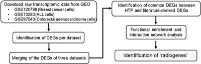 Investigating Molecular Determinants of Cancer Cell Resistance to Ionizing Radiation Through an Integrative Bioinformatics Approach